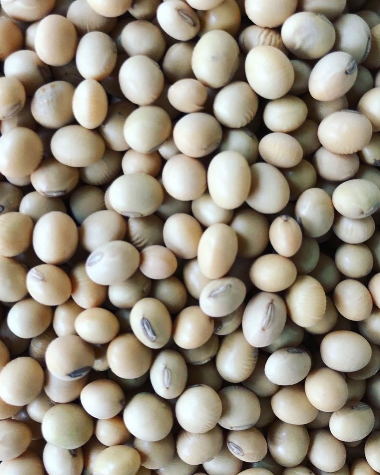 Soya en grano
