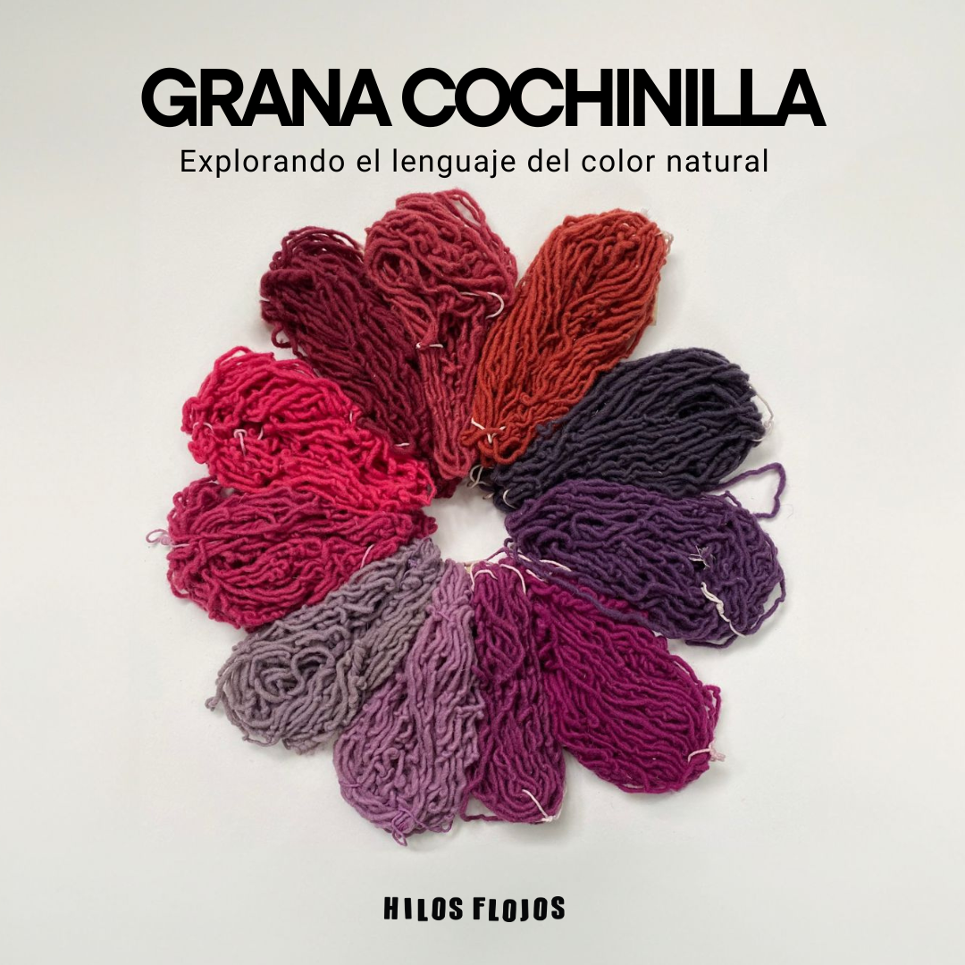 ❤️ Grana Cochinilla · Explorando el color sobre fibras proteicas