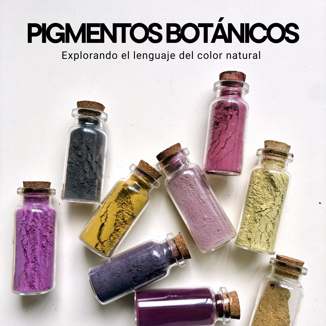 🎨 Pigmentos Botánicos · Concentrando el color natural