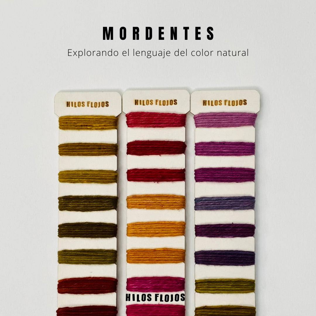 Taller presencial de mordentes