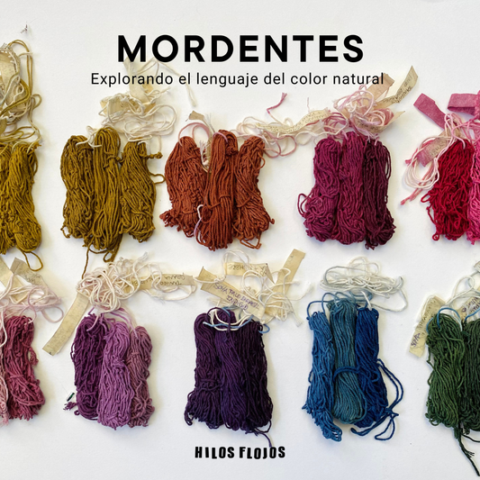 🌿 Mordentes para algodón · Explorando la relación entre fibra y color