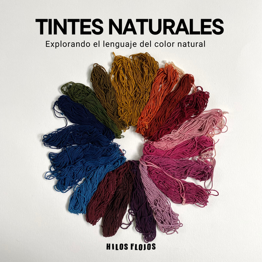 🌿 Tintes Naturales · Paleta de 20 colores