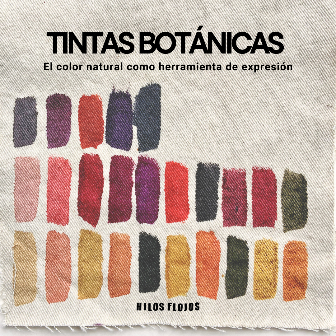 🎨 Tintas Botánicas para Textil · El color natural como herramienta de expresión